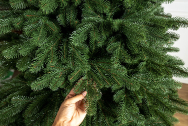 Ялинка лита 'Версальська' ПАРАСОЛЬКА ЗЕЛЕНА 2,50м