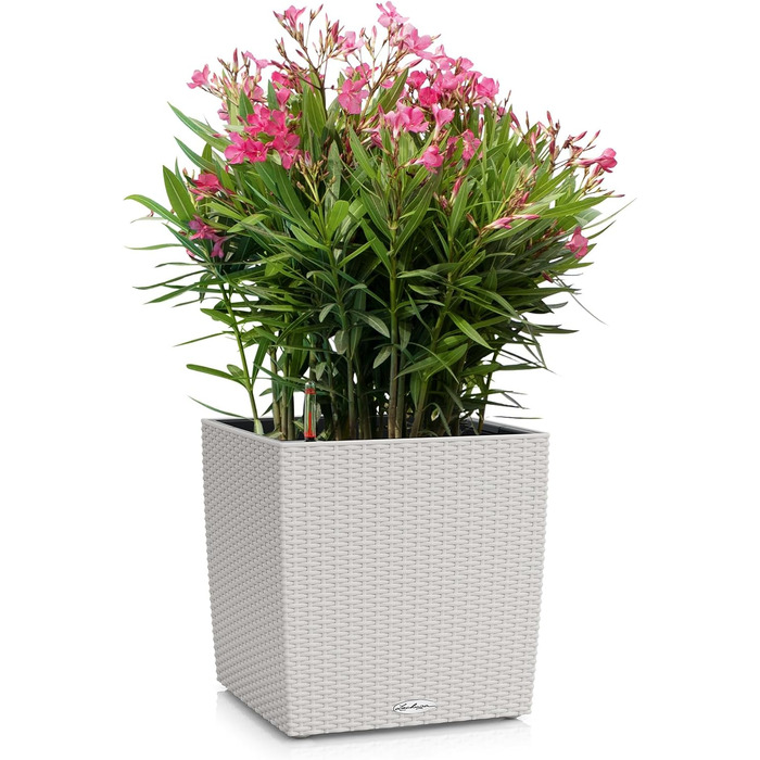 Горщик Lechuza Cube Cottage 30, 30x30x30 см, система автополиву, світло-сірий