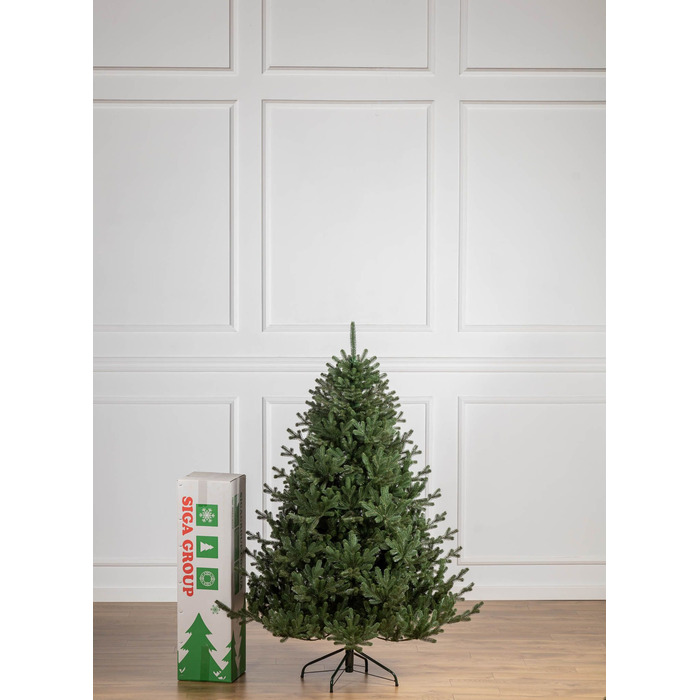 Ялинка лита 'Міланська' ПАРАСОЛЬКА ЗЕЛЕНА 1,80м