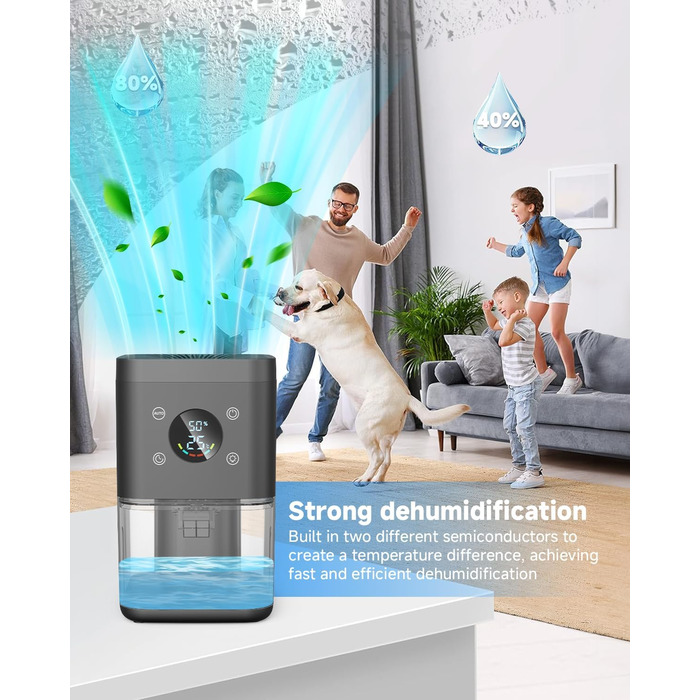 Електричний осушувач повітря 1800 мл - тихий осушувач для дому з функцією відтавання, очищення повітря та захистом від вологи. Ідеально для спальні та ванної кімнати (білий/чорний)