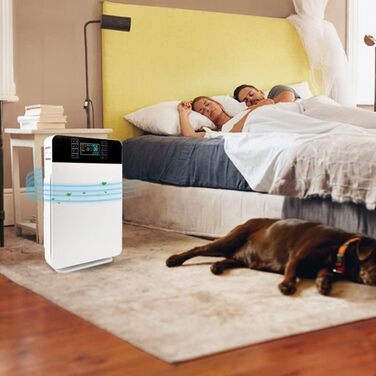 Повітряочисник Livington AirPurifier для кімнат до 30 м² – для алергіків, проти пилу, пилку та шерсті тварин, з автоматичним режимом та таймером