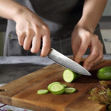 Ніж PAUDIN для м'яса, кухаря та обробки продуктів, 20 см, з високоякісної сталі, ергономічна ручка