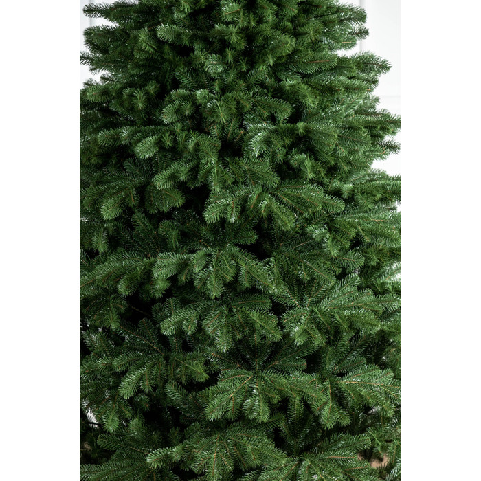 Ялинка лита 'Версальська' Зелена 1,80м