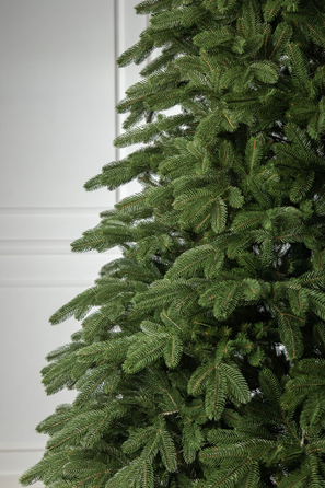 Ялинка лита 'Лапландська' ПАРАСОЛЬКА ЗЕЛЕНА 3,00м