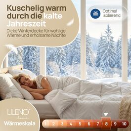 колір: зимове покриття