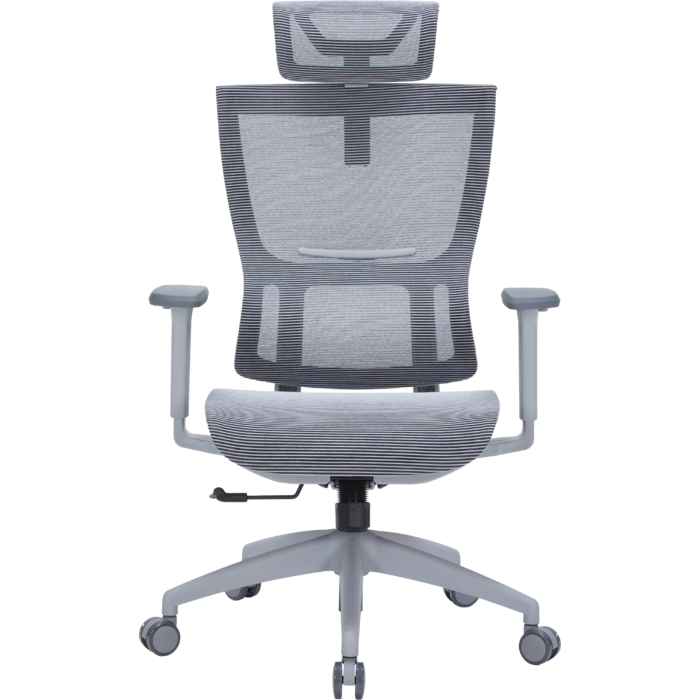 Крісло офісне OfficePro Elegant OC660-G-DG-DG