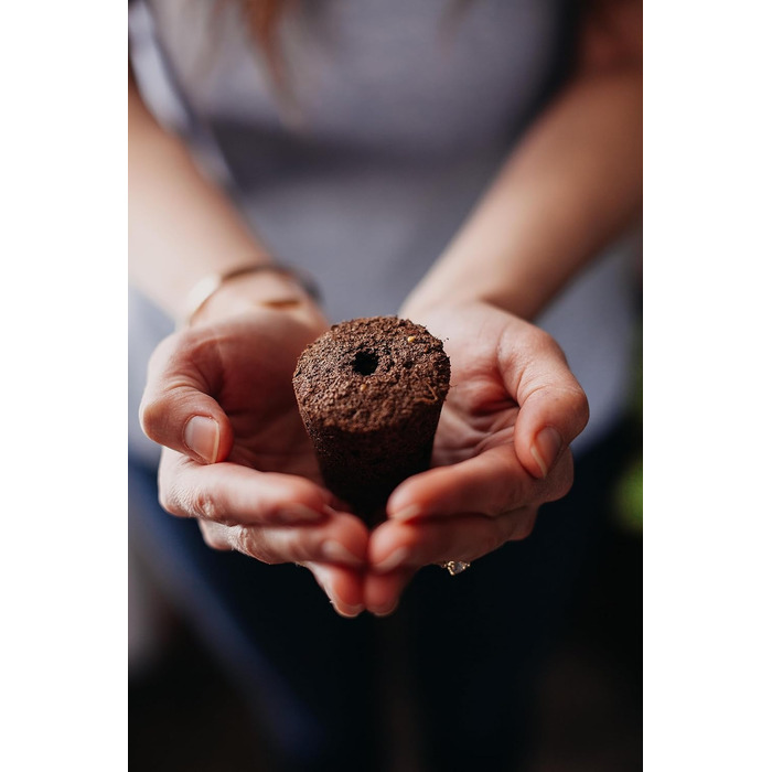 Click and Grow Indoor Garten: Розумний сад для вирощування зелені вдома з LED, 9 капсул (Темно-сірий)