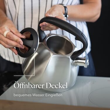 Чайник FLORINA Fenny Satin Induktion 2.5L з флейтою, нержавіюча сталь, Cool-Touch, сучасний дизайн, срібний (Dakota)