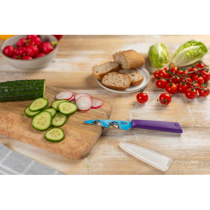 Набір кухонних ножів Kuhn Rikon COLORI®+ 