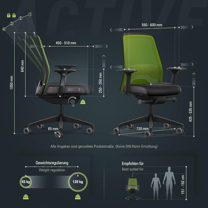 Офісне крісло Interstuhl Every Active Edition: регульована поперекова підтримка, комфортне та активне сидіння (зелений | чорний)