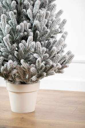 Ялинка лита 'Віденська' в горщику ЗАСНІЖЕНА 1,10м