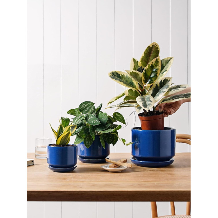 Набір керамічних горщиків LE TAUCI 3 шт. (11, 13, 17 см), горщики для кімнатних рослин з підставкою та дренажним отвором, реактивна глазур (бежевий, сапфіровий блакитний)