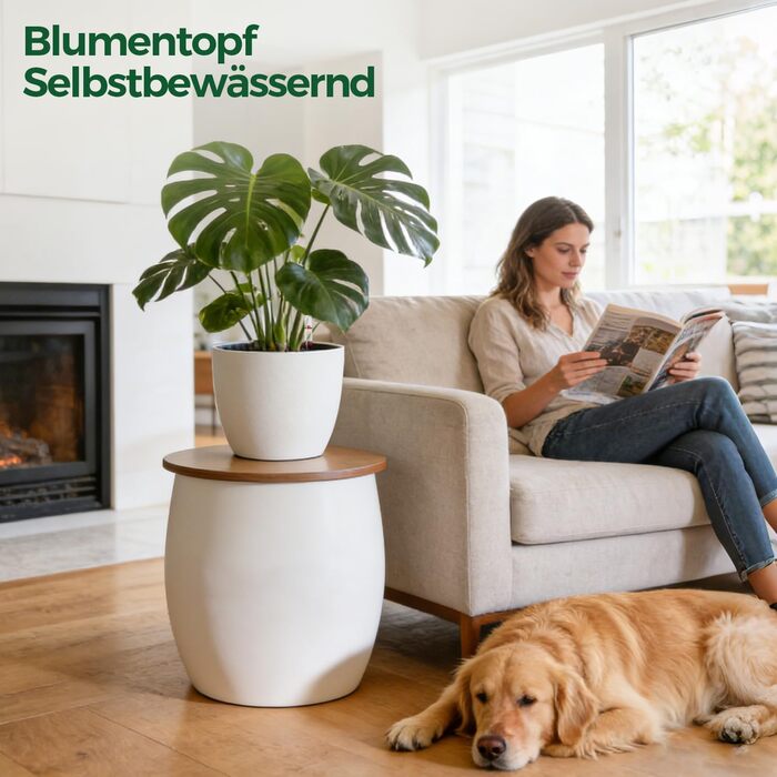 Автоматичні горщики для квітів T4U з індикатором води, 2 шт., 20 см, білий. Підходять для монстери та розмарину, для дому та саду