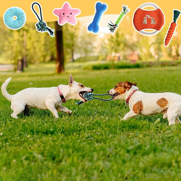 Набір іграшок для собак UMILKI, 20 шт. неруйнівні іграшки для жування собак з 3 шт. трубкою, набір іграшок для цуценят з бавовни, набір іграшок для жування мотузкових кульок для собак для маленьких, великих і середніх собак