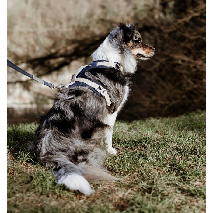 Шлейка для собак Yohint 100 конопляна - зручна, довговічна, екологічно чиста, фільтрує ультрафіолет, дихаюча