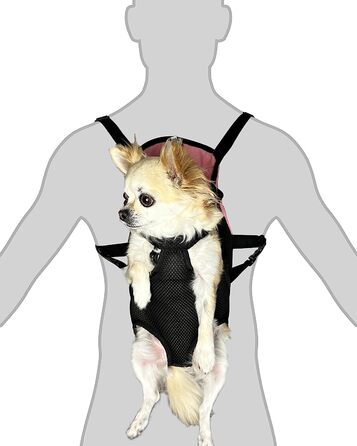 Рюкзак для собак регульований з ремінцем на животі дихаючий для маленьких собак і цуценят (XXS, чорний/рожевий) XXS чорний / рожевий