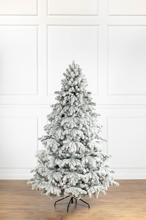 Ялинка лита 'Версальська' ЗАСНІЖЕНА ПАРАСОЛЬКА 2,30м