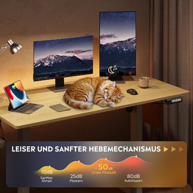 Стол підйомний електричний DEVAISE 120x60 см, білий, з пам'яттю висоти, для офісу