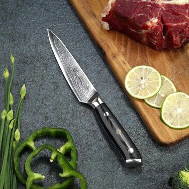 Ніж PAUDIN для м'яса, кухаря та обробки продуктів, 20 см, з високоякісної сталі, ергономічна ручка