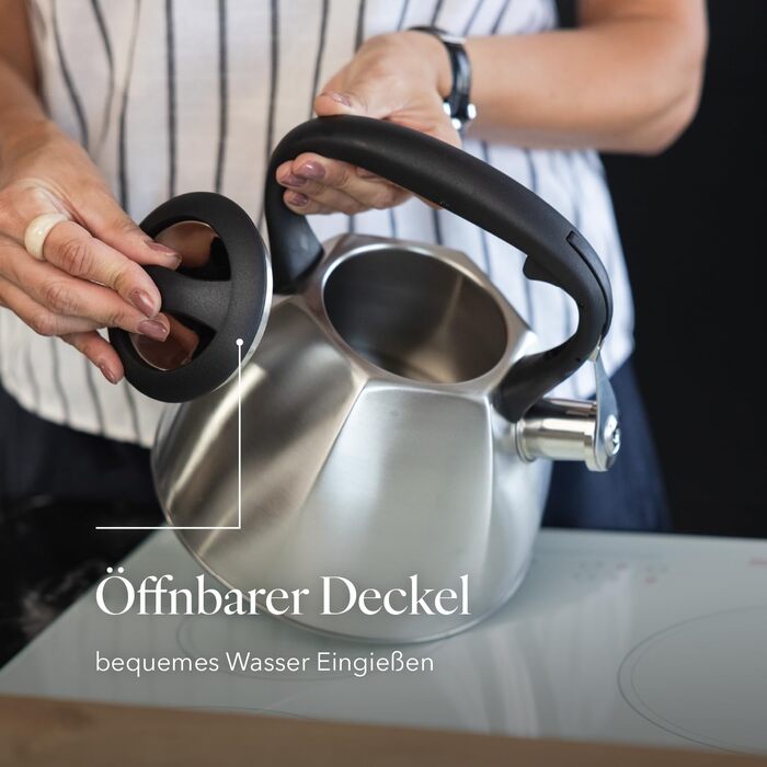 Чайник FLORINA Fenny Satin Induktion 2.5L з флейтою, нержавіюча сталь, Cool-Touch, сучасний дизайн, срібний (Dakota)