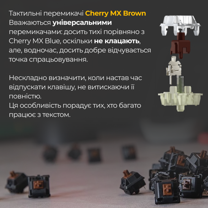 Механічна клавіатура Ducky One 3 TKL Cherry MX Brown Matcha Cream UA