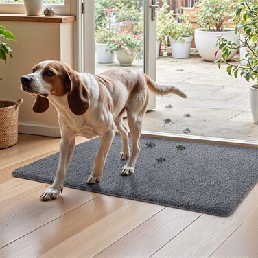 Килимок для дому DEXI 80 x 120 см, антиковзаючий, для прибирання бруду, миється в пральній машині, поглинаючий, для собак, вхідний килимок, для порогу та коридору (60 x 180 см, сіро-блакитний)