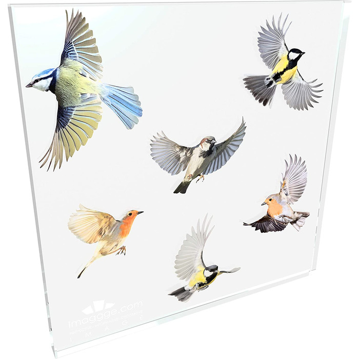 Наклейки Imaggge.com з птахами 6 предметів кольорові