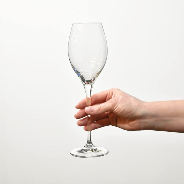 Кроснo Champagnergläser Prosecco-Gläser: Набір з 6 келихів для шампанського та просекко, 280 мл, колекція Harmony | Ідеально для дому, ресторанів та свят | Можна мити в посудомийній машині