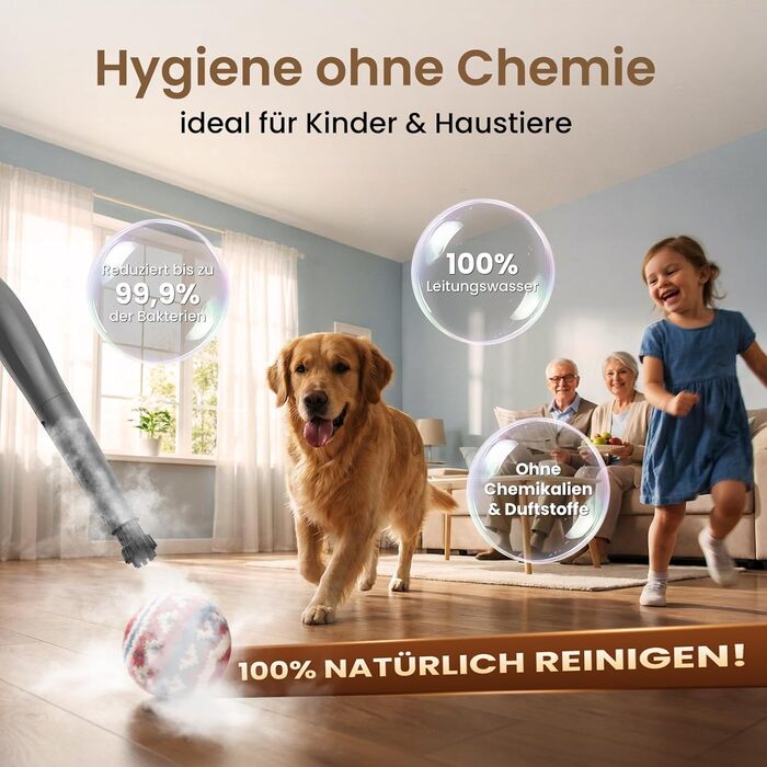 Портативний відпарювач 550 мл, 1500 Вт, з аксесуарами, для кухні, ванної, вікон, авто та оббивки (фіолетовий)