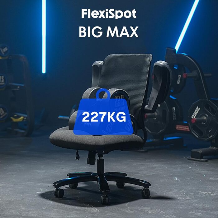 Крісло офісне ергономічне FLEXISPOT BIG MAX, чорне, 227 кг, регульовані підлокітники, для дому/офісу