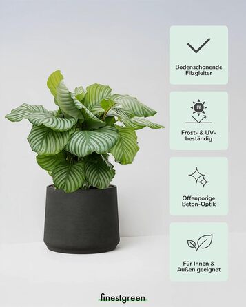 Вазон Patt Pflanzgefäß Grau L: сірий, бетонна текстура, для дому та саду, морозостійкий, UV-стійкий, водонепроникний (16.5x13.2x14 см)