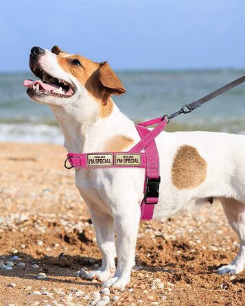 Шлейка для собак eeyfarog No PU для собак середнього розміру, стійка до викидів, що розкладається без натягу, шлейка для собак (М, рожевого кольору)