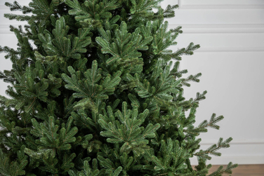 Ялинка лита 'Міланська' ПАРАСОЛЬКА ЗЕЛЕНА 1,80м