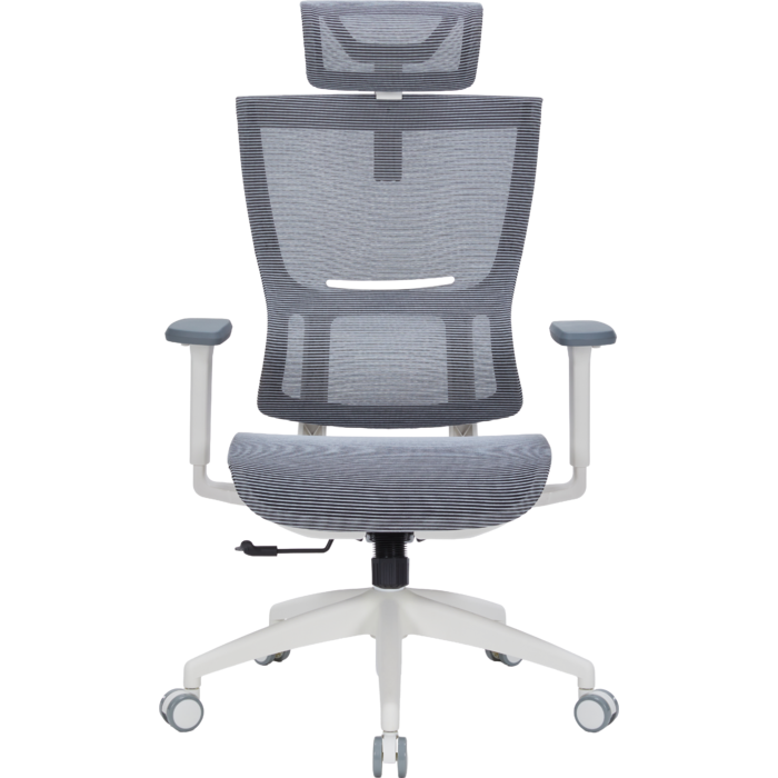 Крісло офісне OfficePro Elegant OC660-W-DG-DG