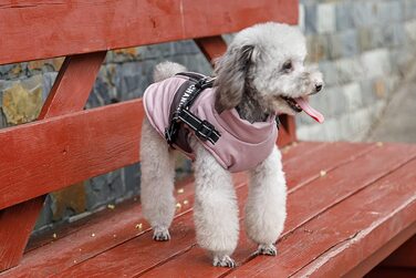 Пальто для собак Lairle, зимова куртка для собак, пальто для собак, пальто для цуценят, куртка, жилет, одяг для маленьких собак, пальто для маленьких і середніх собак, М рожевого кольору