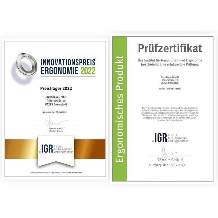 Ergotopia NextBack: ергономічне крісло для офісу з підтримкою спини | Крісло для роботи з підголівником та підлокітниками | 5 років гарантії (сірий/білий)