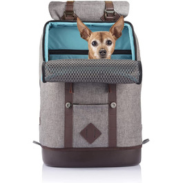 Рюкзак Kurgo K9 зі спеціальним відсіком для собак, дихаючої сіткою і водонепроникним дном, для домашніх тварин вагою до 11 кг, сіра упаковка сірого кольору зі знижкою