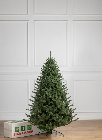 Ялинка лита 'Міланська' ПАРАСОЛЬКА ЗЕЛЕНА 2,10м