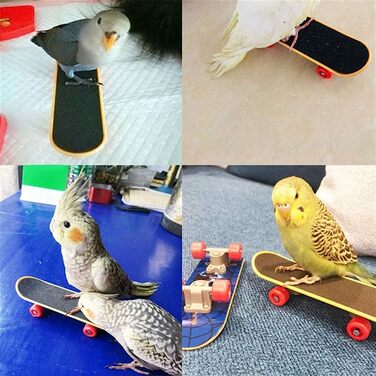 Іграшки для папуг CHSEEO дерев'ян 6 шт різні кольори