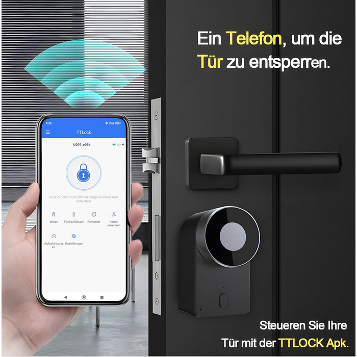 Дверний замок Bluetooth, доступ до додатків, сумісний з TTLock, Alexa та Google Home, 09