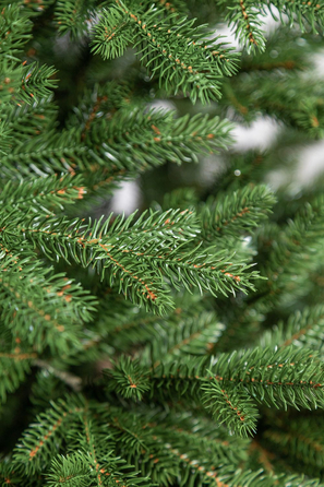 Ялинка лита 'Альпійська' ПАРАСОЛЬКА ЗЕЛЕНА 2,50м