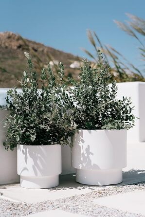 Пластиковий горщик для квітів Tymar з вкладишем, великий (Антрацит DBHER, діаметр 30 см)