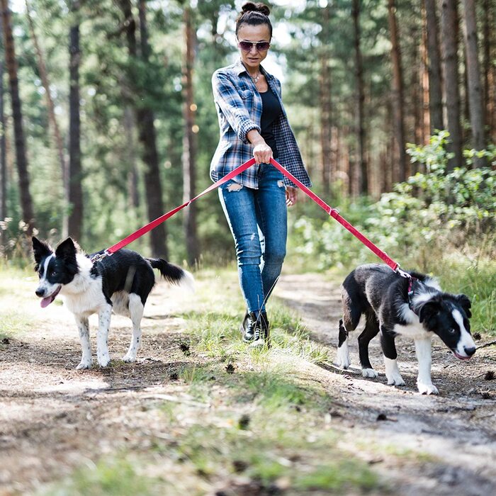 Повідець для собак Beddog віллі, регульований на 3 довжини, подвійний повідець, повідець для вигулу, повідець для вигулу, поводок для собак середнього і великого розміру, загальна довжина 2 м- (2 м/25 мм, червоний)