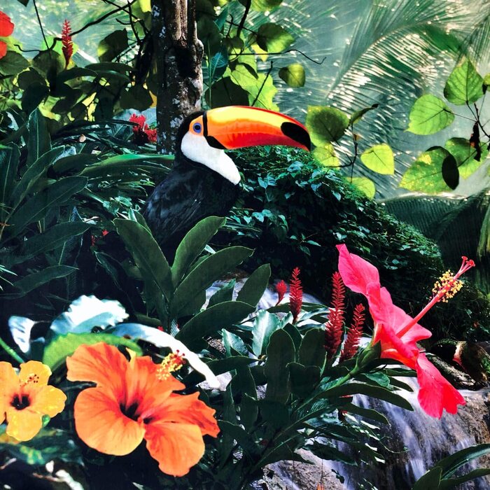 Бавовняна Атласна постільна білизна з цифровим друком Габріель Грін, джунглі, розмір (200 см х 200 см)