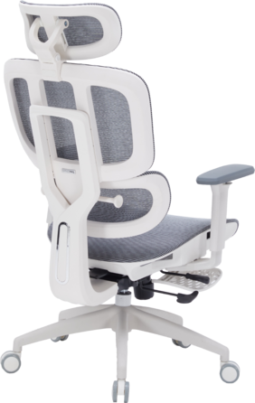 Крісло офісне OfficePro Skyline OC750-W-DG-DG