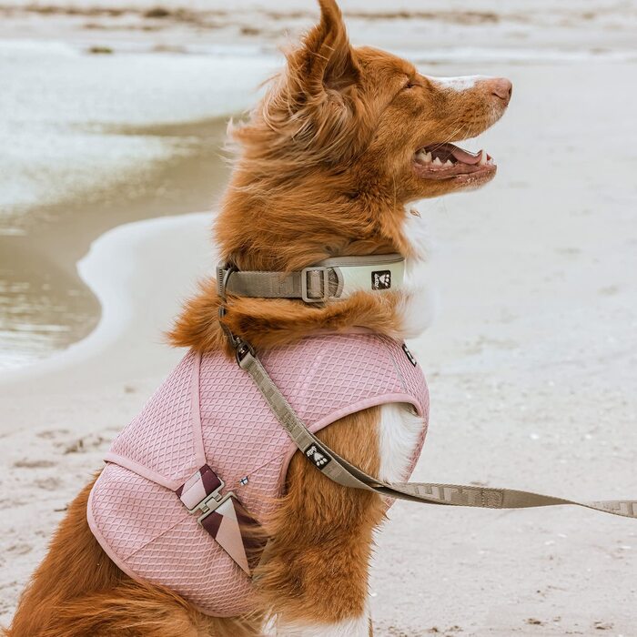 Охолоджуючий жилет hurtta для собак, охолоджуючий жилет, літня куртка для собак світло-синього кольору (40-50, куркума)