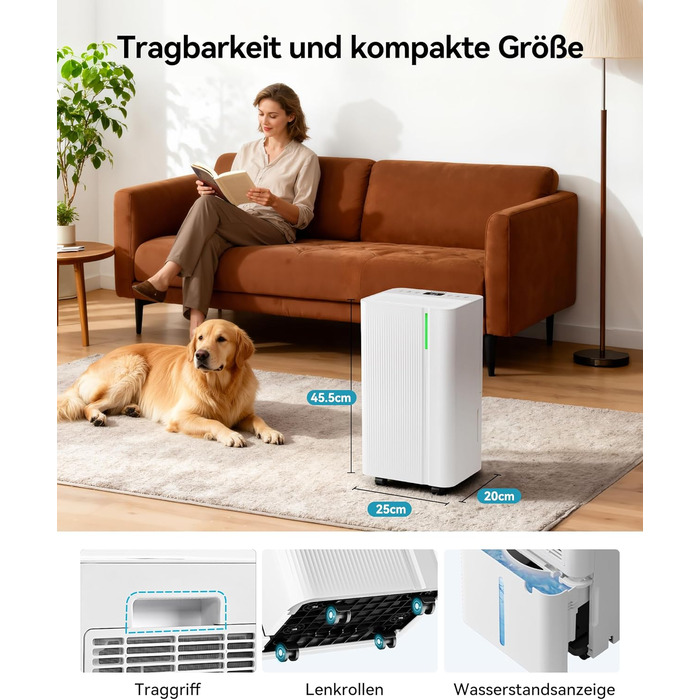 EUHOMY Електричний осушувач повітря для підвалу з відведенням води, тихий та економічний, з автоматичним розморожуванням, таймером, для квартири до 50 м² (12 л/день)