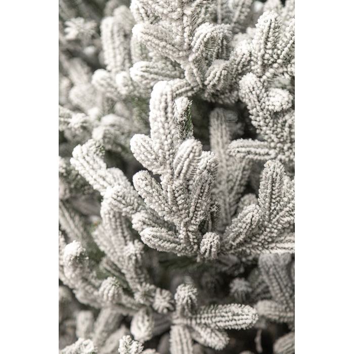 Ялинка лита 'Віденська' ЗАСНІЖЕНА 2,30м