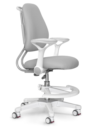 Дитяче крісло ErgoKids Mio Ergo Grey (арт.Y-507 G)