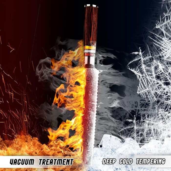 Японський кухонний ніж FANTECK Gyuto 20 см з дамаської сталі 67 шарів (8 дюймів) з ручкою Pakkaholz [Подарункова коробка]